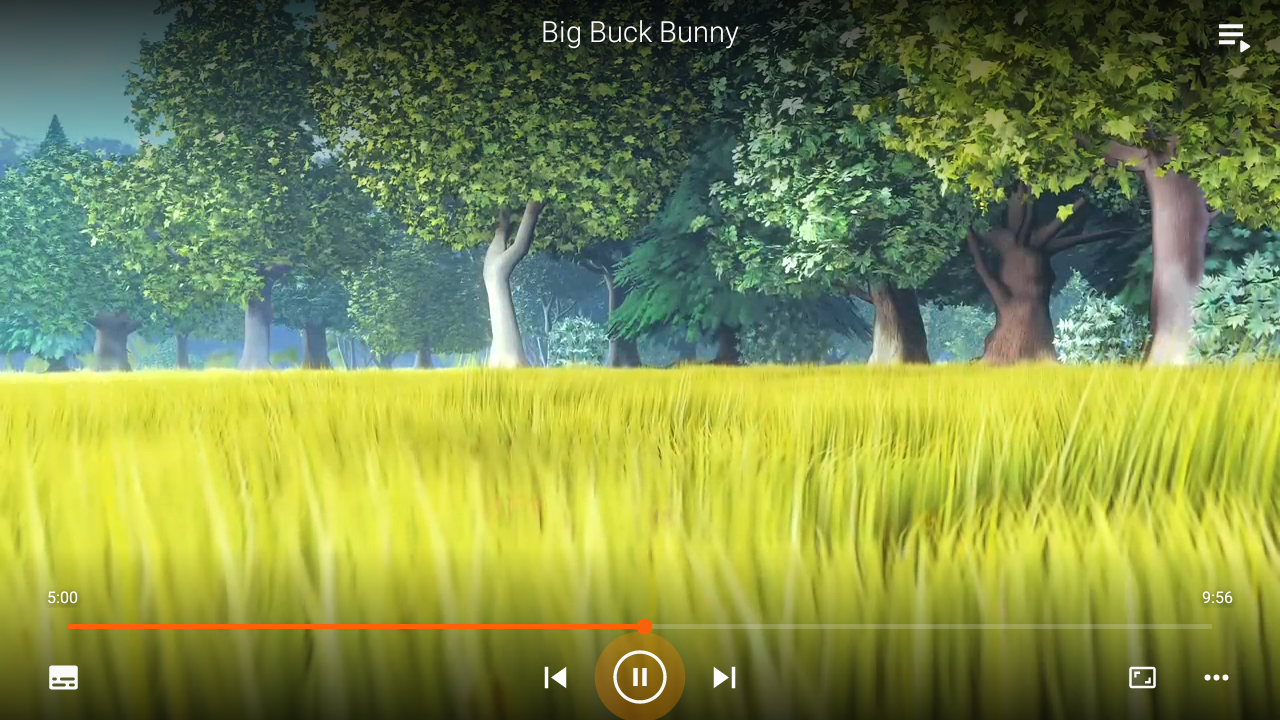 VLC Media Player APK Screenshots 2