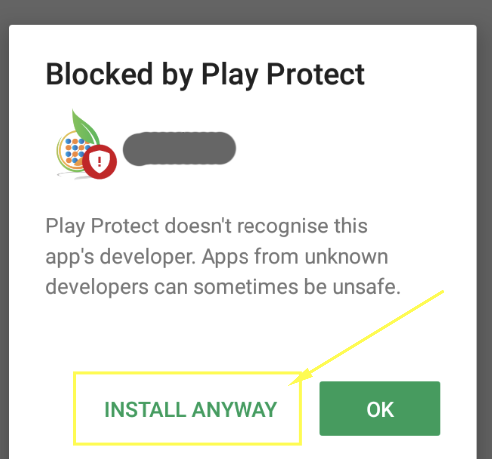 Play Protect