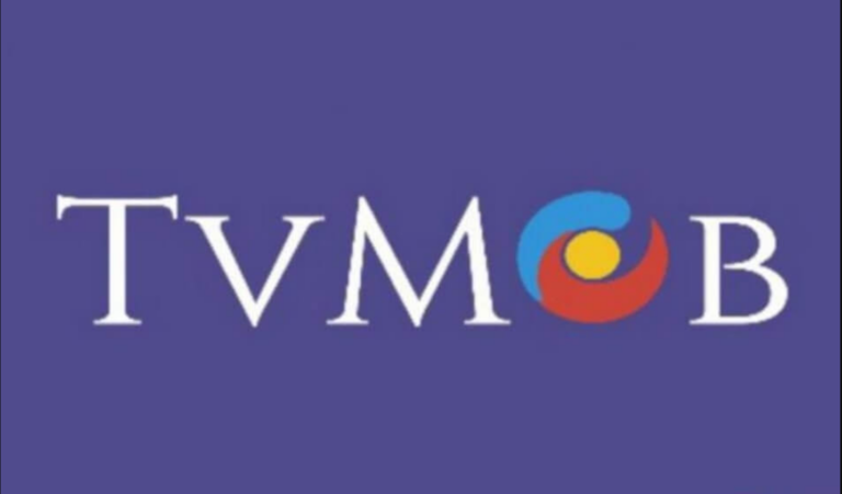 TVMob on PC